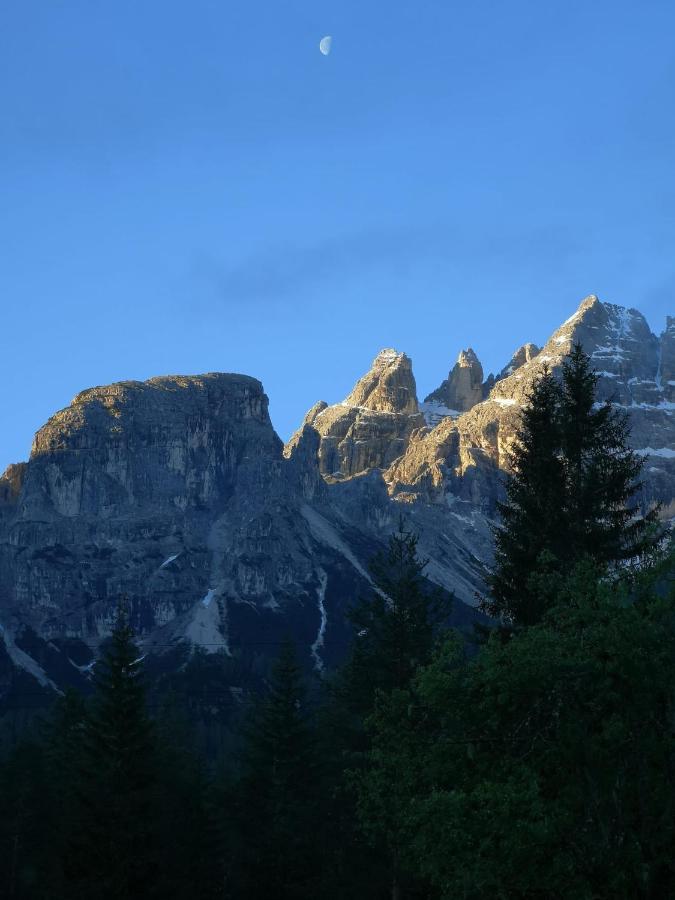 Ferienwohnung Delizioso Monolocale Toblach Exterior foto